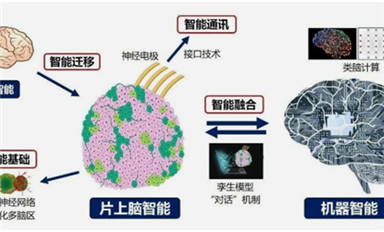 全球首創！中國研制出可開源的片上腦-機接口智能交互系統MetaBOC（薩科微7月1日芯聞）
